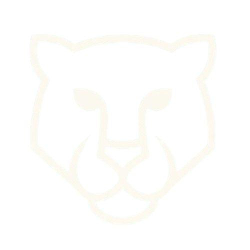 redirectpaytiger.site favicon